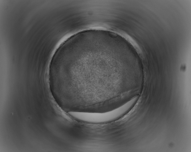 X0000101411240200807281018