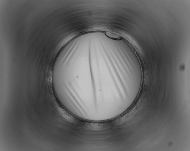 X0000101411241200807281018