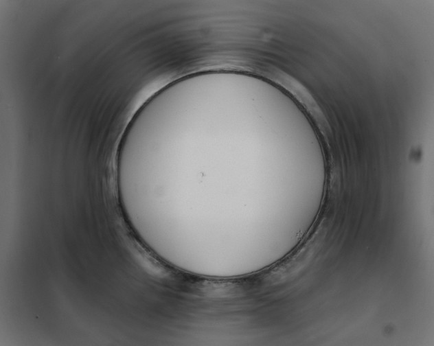 X0000101411242200807281018