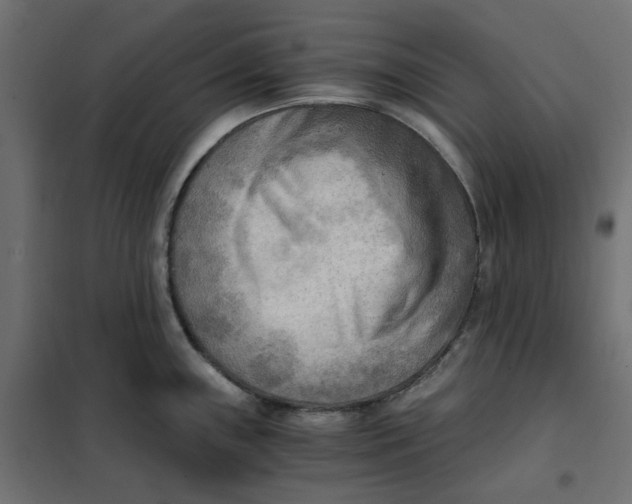 X0000101411243200807281018