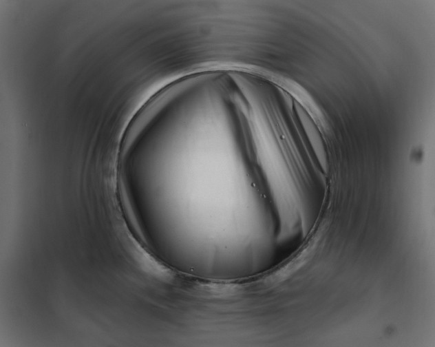 X0000101411244200807281018