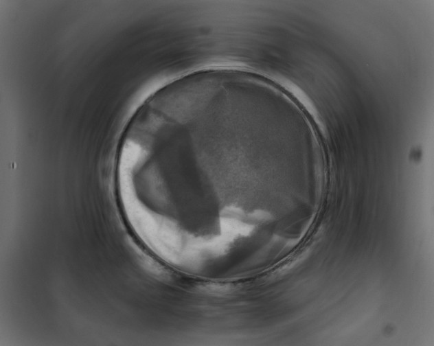 X0000101411245200807281018