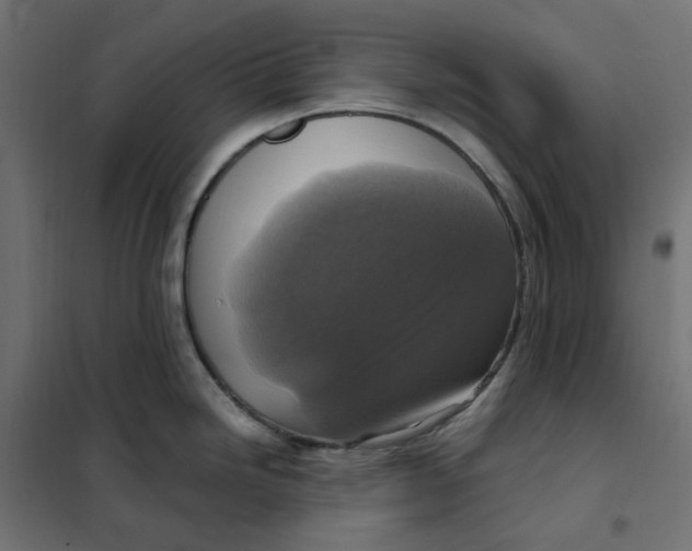 X0000101411246200807281018