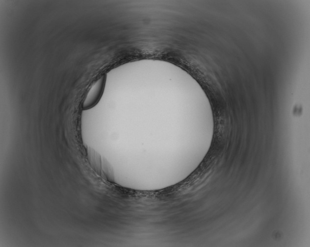 X0000101411249200807281017