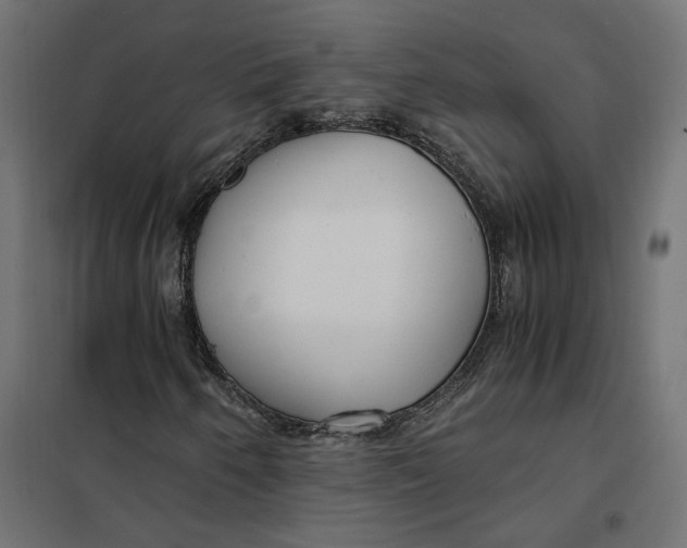 X0000101411250200807281017