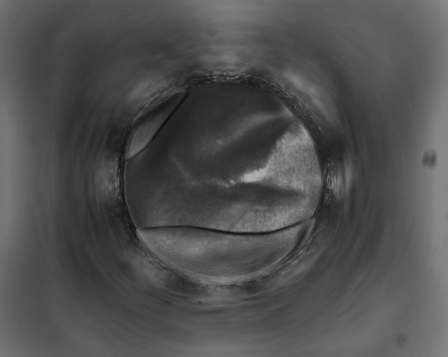 X0000101411252200807281017