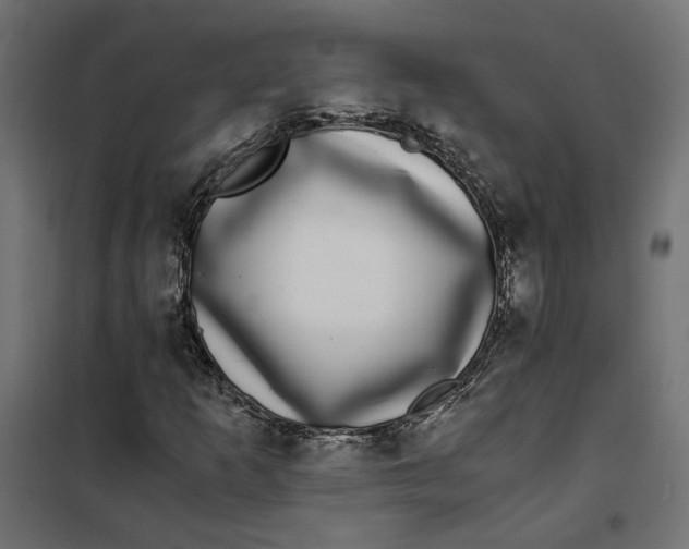 X0000101411253200807281017