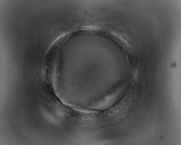 X0000101411254200807281017