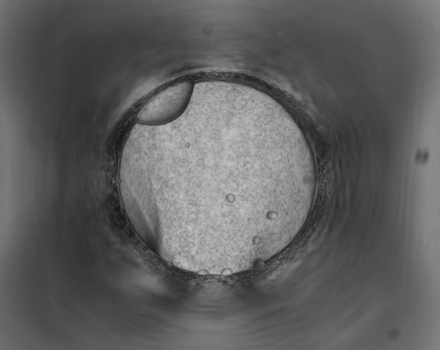 X0000101411255200807281017