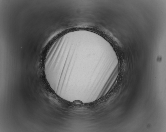 X0000101411256200807281017