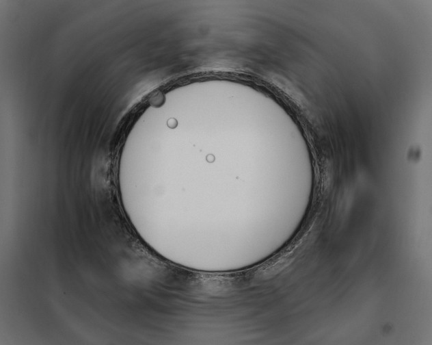 X0000101411258200807281017