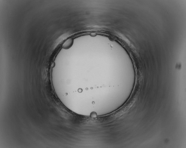 X0000101411259200807281017