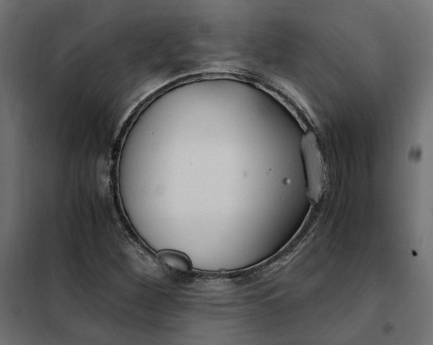 X0000101411260200807281017