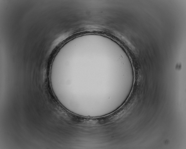 X0000101411261200807281017