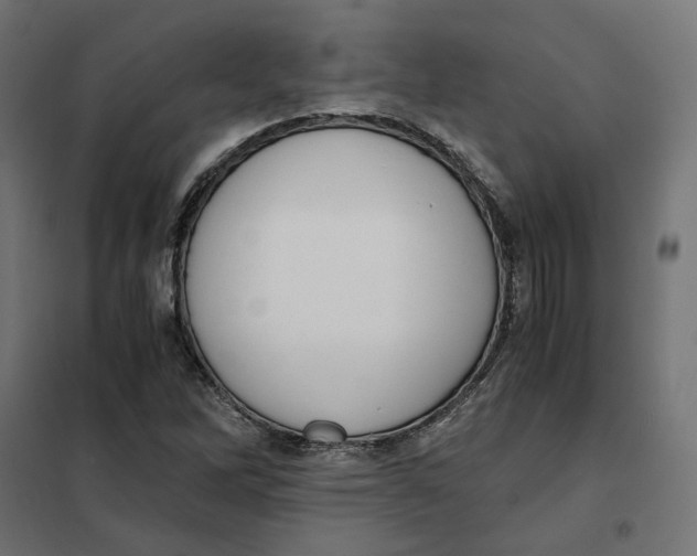 X0000101411262200807281017