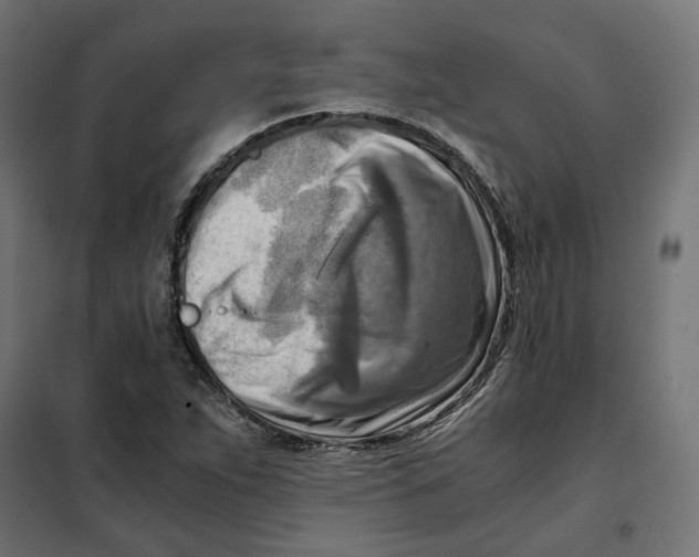 X0000101411263200807281017