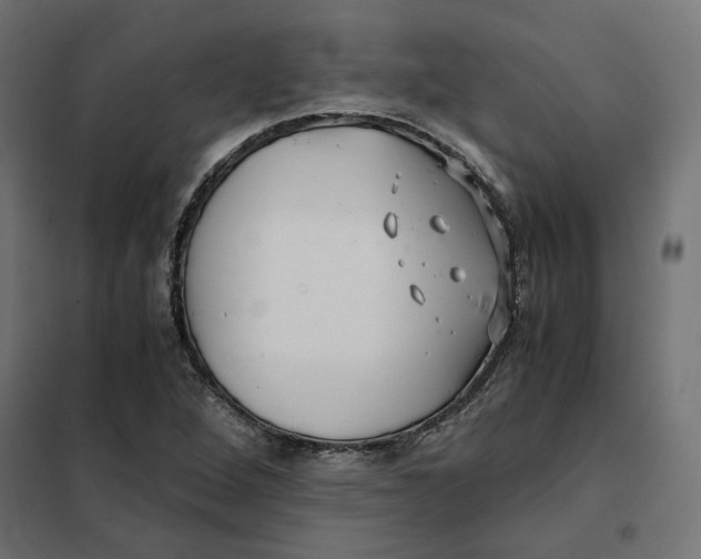 X0000101411264200807281017