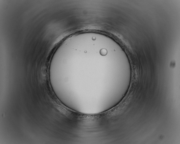 X0000101411266200807281017