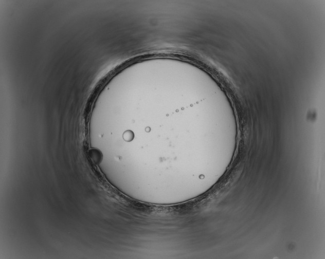 X0000101411267200807281017