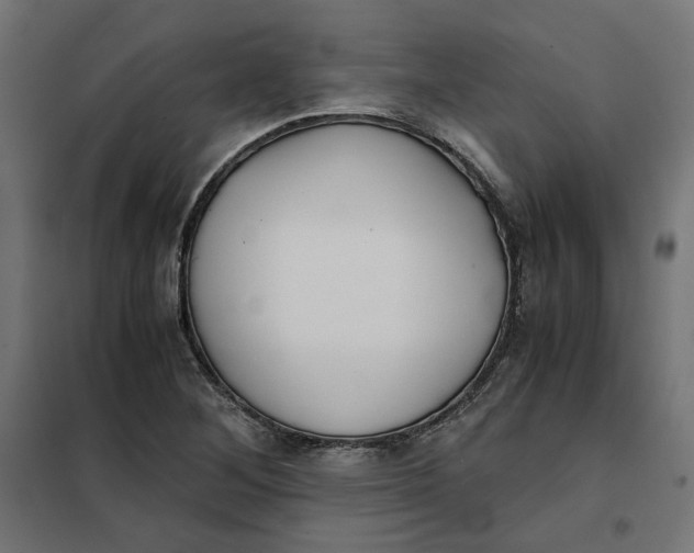 X0000101411268200807281017