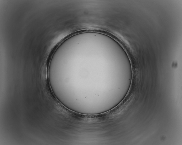 X0000101411269200807281017