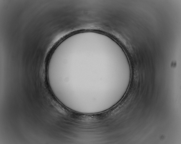 X0000101411270200807281017