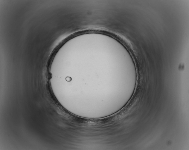 X0000101411271200807281017