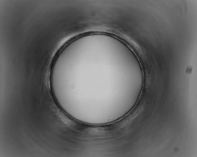 X0000101411272200807281017