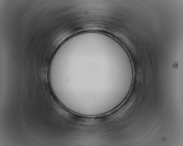 X0000101411273200807281017