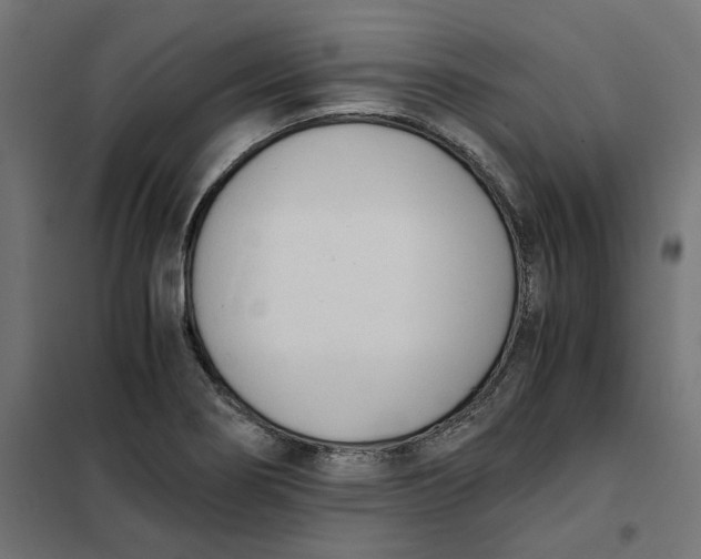 X0000101411274200807281017