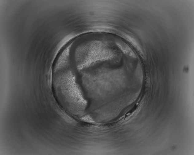 X0000101411275200807281017