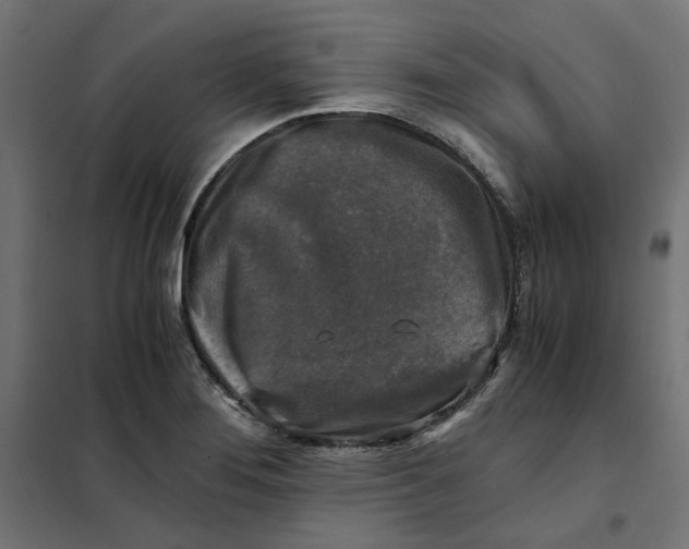 X0000101411276200807281017