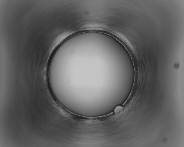 X0000101411277200807281017