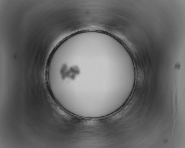 X0000101411278200807281017