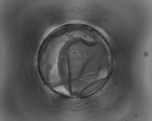 X0000101411279200807281017