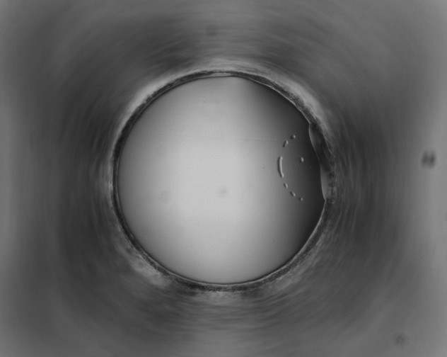 X0000101411280200807281017