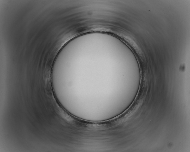 X0000101411281200807281017