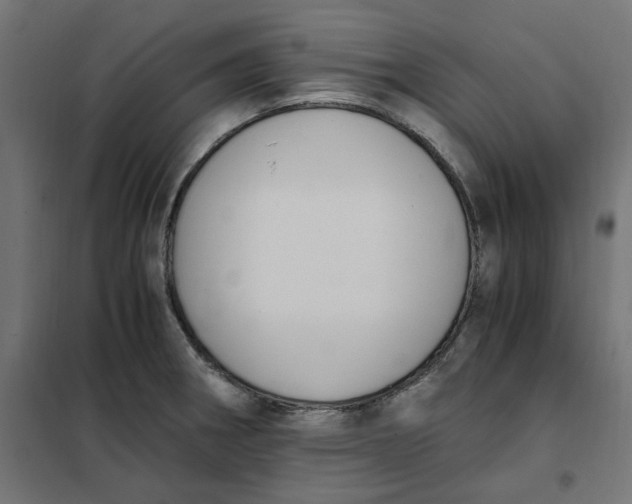 X0000101411282200807281017