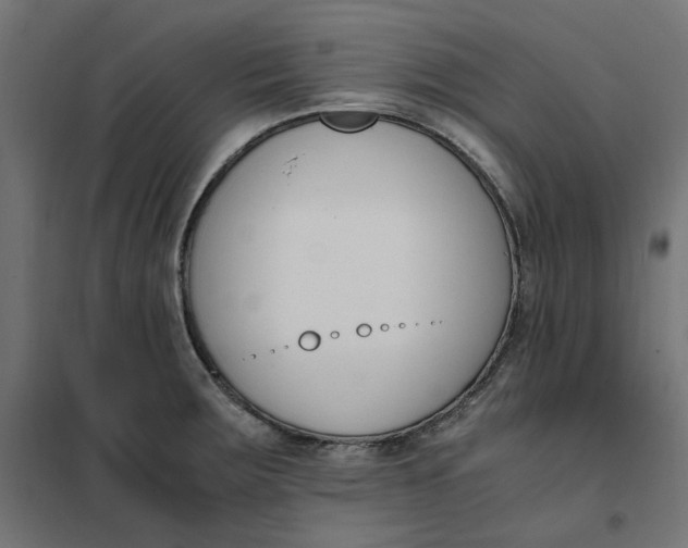 X0000101411283200807281017