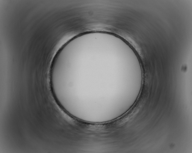 X0000101411285200807281017