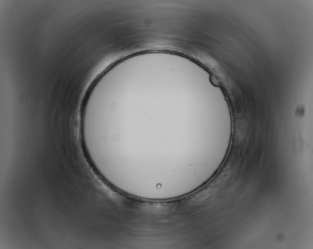 X0000101411286200807281017