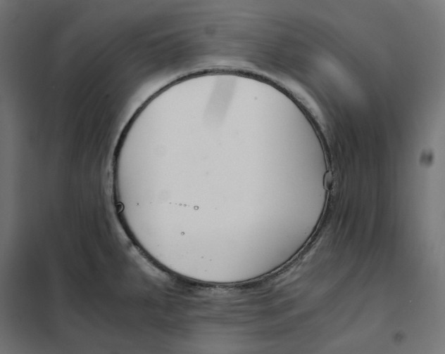 X0000101411287200807281017