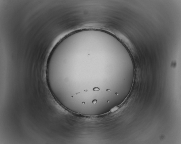 X0000101411288200807281017