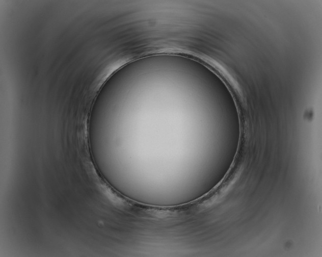 X0000101411289200807281017