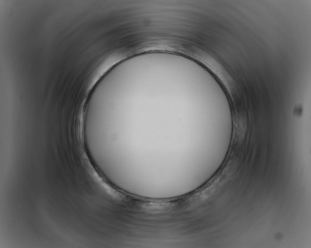 X0000101411290200807281017