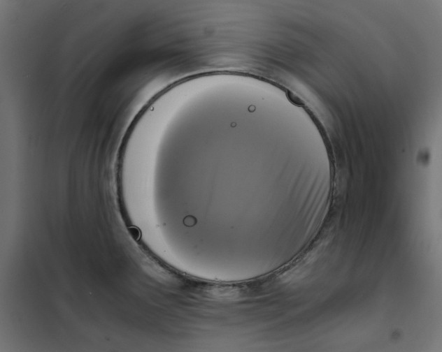 X0000101411291200807281017