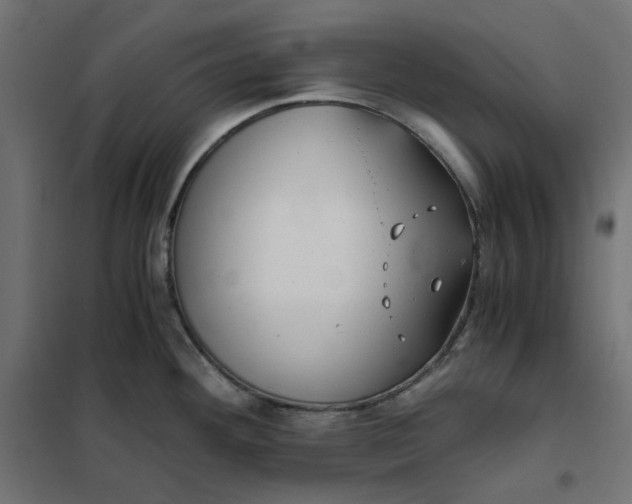 X0000101411292200807281017