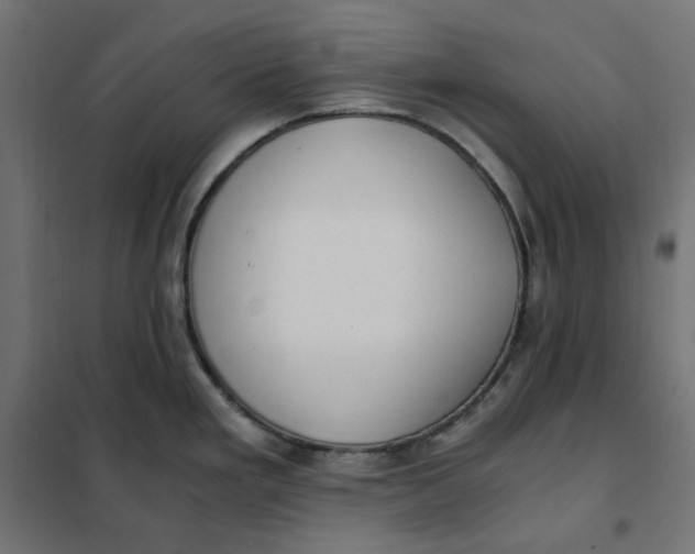 X0000101411293200807281017