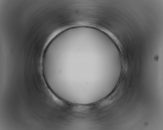 X0000101411294200807281017