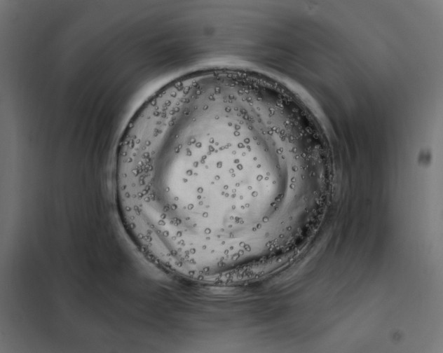 X0000101411295200807281017